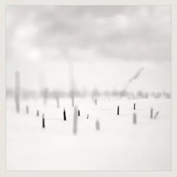 Taylor Deupree: In A Place Of Such Graceful Shapes