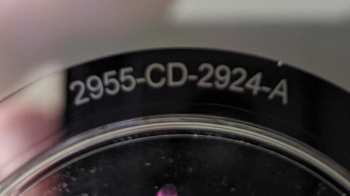 CD Taylor McCall: Taylor McCall