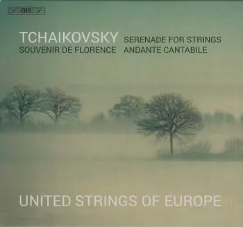 Serenade For Strings; Souvenir De Florence; Andante Cantabile