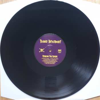 LP Teenage Bottlerocket: Stealing The Covers