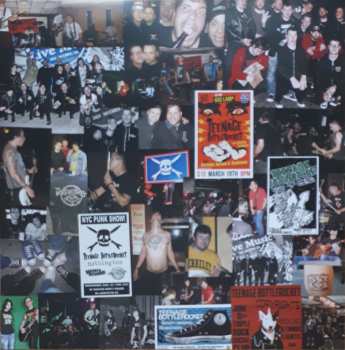 LP Teenage Bottlerocket: Stealing The Covers