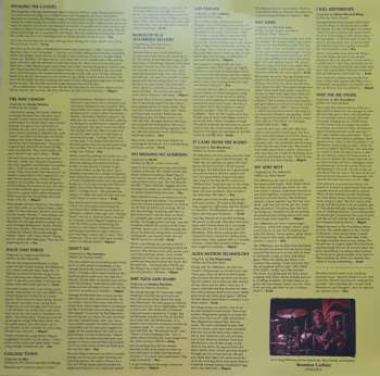 LP Teenage Bottlerocket: Stealing The Covers