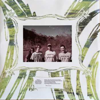 LP/SP Teethe: Teethe CLR | LTD