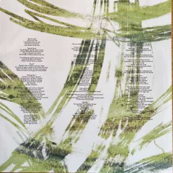 LP/SP Teethe: Teethe CLR | LTD