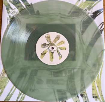 LP/SP Teethe: Teethe CLR | LTD