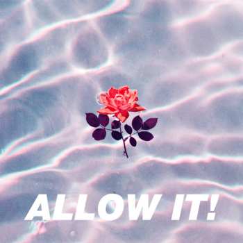2LP TEK.LUN: ALLOW IT!
