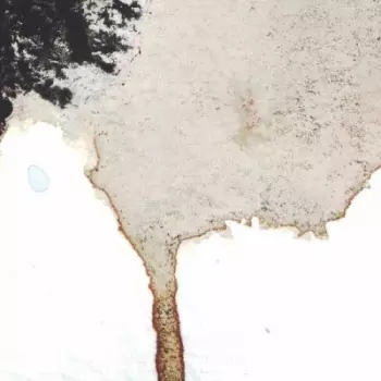 Telescopes/the Flavor Cry: Tour Split