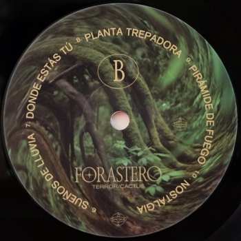 LP Terror/Cactus: Forastero LTD