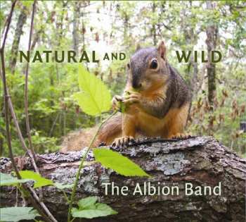 Album The Albion Band: Natural And Wild
