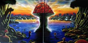 2LP The Allman Brothers Band: Where It All Begins