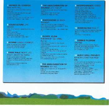 CD The Amalgamation Of Soundz: Pure Future 2002