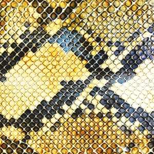 LP The Amazing Snakeheads: Amphetamine Ballads