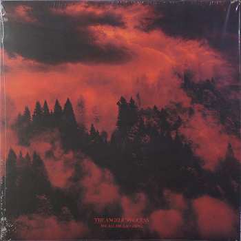 6LP/Set di cofanetti The Angelic Process: We All Die Laughing DLX | LTD