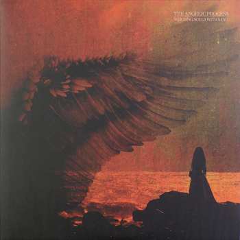 6LP/Set di cofanetti The Angelic Process: We All Die Laughing DLX | LTD