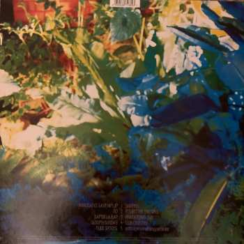 LP The Associates: Sulk CLR