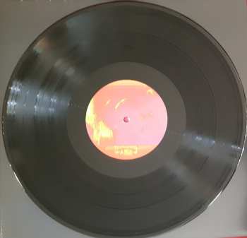2LP The Avalanches: We Will Always Love You