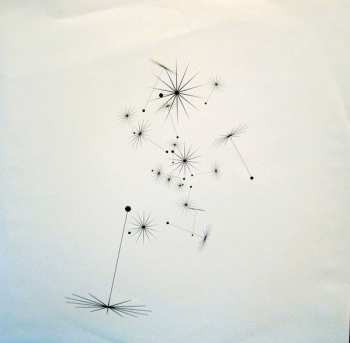 2LP The Avett Brothers: Magpie And The Dandelion