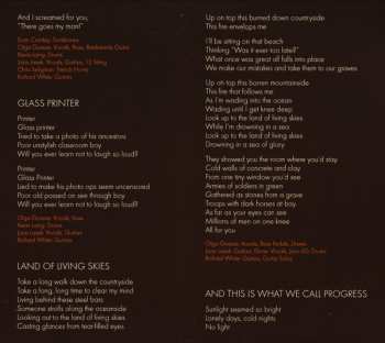 CD The Besnard Lakes: The Besnard Lakes Are The Roaring Night