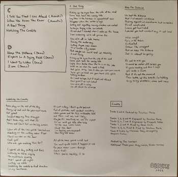 2LP The Beths: Expert In A Dying Field CLR | DLX | LTD