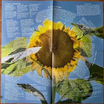 2LP The Beths: Expert In A Dying Field CLR | DLX | LTD