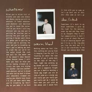 LP The Beths: Warm Blood CLR