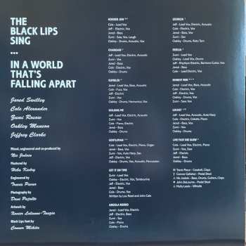 LP The Black Lips: In A World That's Falling Apart DLX | LTD
