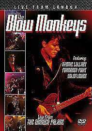 DVD The Blow Monkeys: Live From London