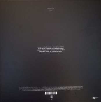 2LP/2CD/DVD/SP/Set di cofanetti Suede: The Blue Hour DLX | LTD