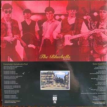 SP The Bluebells: Everybody's Somebody's Fool CLR | LTD