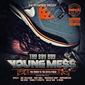 Album The Boy Boy Young Mess: The Money In The Bitch Purse - DLK Collabs Vol.4