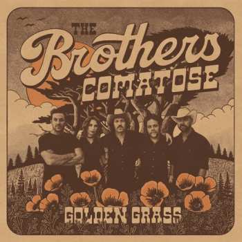Album The Brothers Comatose: Golden Grass
