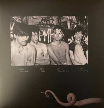 2LP The Chameleons: Strange Times CLR