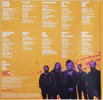 LP The Charm The Fury: The Sick, Dumb & Happy PIC