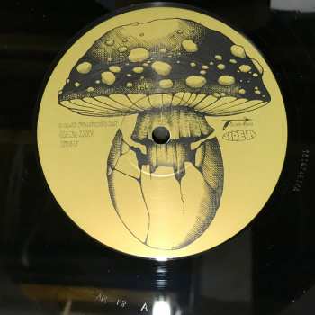 3LP/2CD The Chris Robinson Brotherhood: Betty's Self-Rising Southern Blends Vol. 3