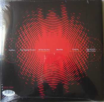 3LP The Cinematic Orchestra: Every Day DLX | LTD | CLR