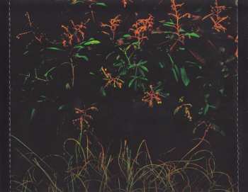 CD The Cinematic Orchestra: LateNightTales