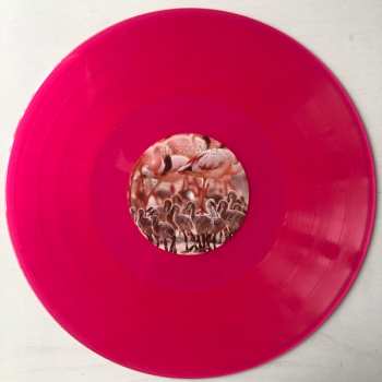 2LP The Cinematic Orchestra: The Crimson Wing - Mystery Of The Flamingos LTD | CLR