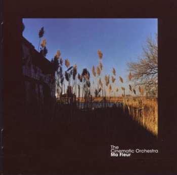 CD The Cinematic Orchestra: Ma Fleur