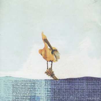 CD The Clumsy Lovers: After The Flood