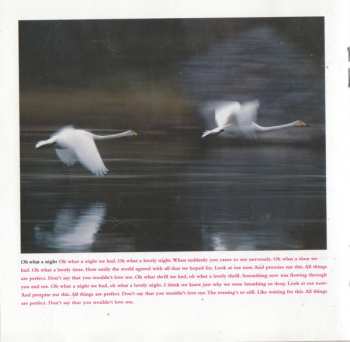 CD The Crash: Wildlife