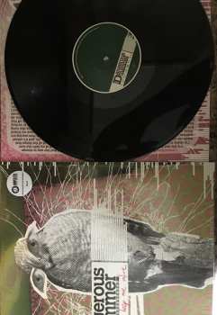 LP The Dangerous Summer: If You Could Only Keep Me Alive