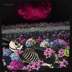 Album The Dead Rabbitts: Redefined