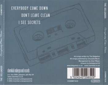 CD The Delgados: Everybody Come Down