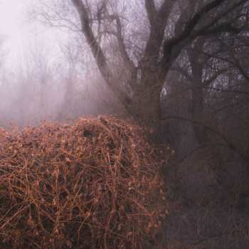 Album The Devil's Trade: Nincs Szennyezetlen Szép