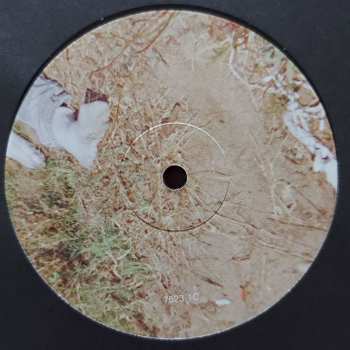 2LP The Drums: Abysmal Thoughts