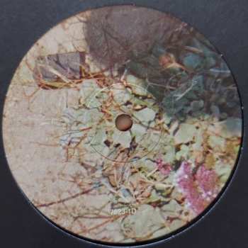2LP The Drums: Abysmal Thoughts