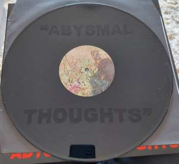 2LP The Drums: Abysmal Thoughts
