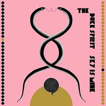 Album The Duke Spirit: Sky Is Mine