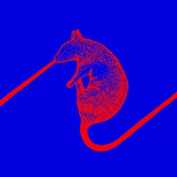 The Dwarfs of East Agouza: Rats Don't Eat Synthesizers