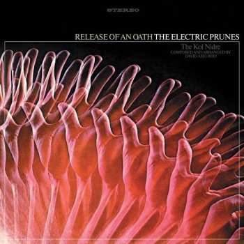 LP The Electric Prunes: Release Of An Oath LTD | CLR